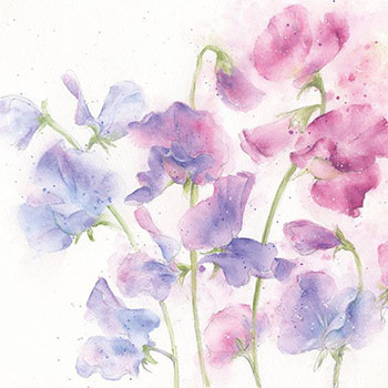 Card Sweet Peas